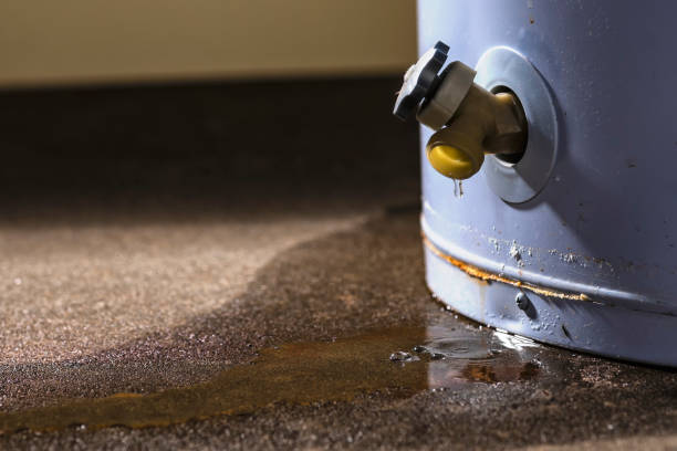 Best Local water damage restoration  in Harrisville, WV