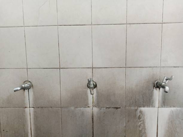 Best Water damage restoration near me  in Harrisville, WV