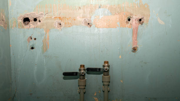 Best Professional water damage repair  in Harrisville, WV