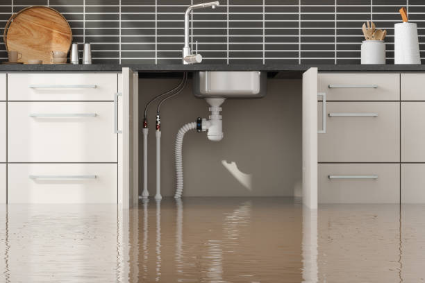 Best 24-hour water damage restoration  in Harrisville, WV