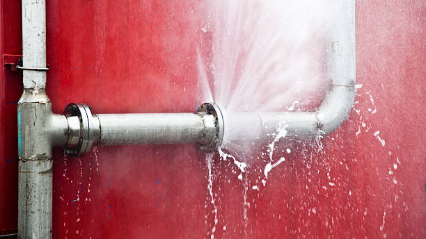 Best Flooded house restoration  in Harrisville, WV